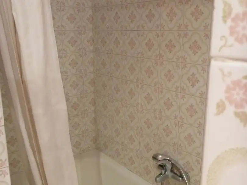 Bathroom of Apartments for rent in Centro