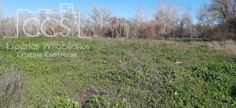 Terreni e lotti in vendita a Almonte ciudad