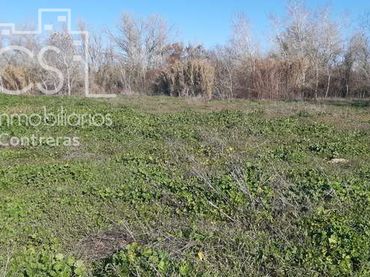 Terreno rustico in vendita a Almonte ciudad