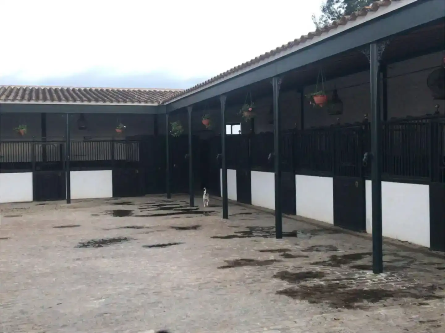 Vista exterior de Pis en venda en Rinconada