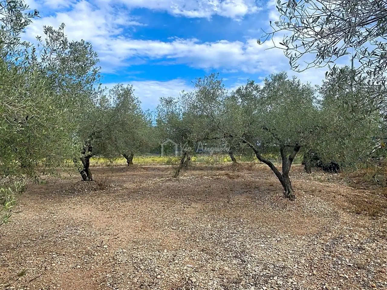 Casa rustica in vendita a Burgà, imagen 34