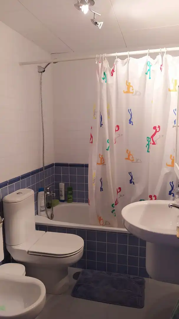 Flat with pool to rent in Casco Antiguo, imagen 19