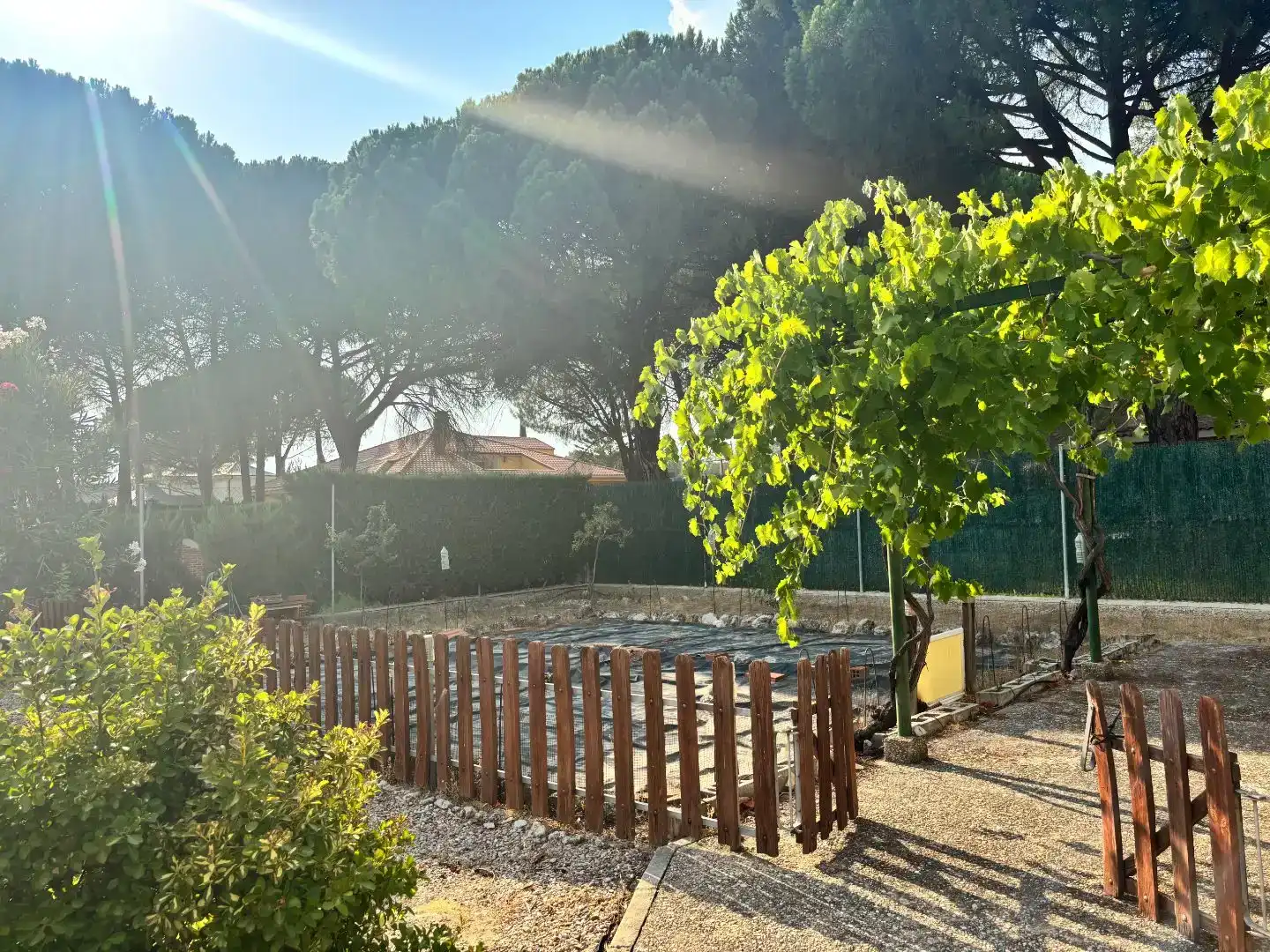 Jardín de Casa o chalet en venta en Mojados con Piscina