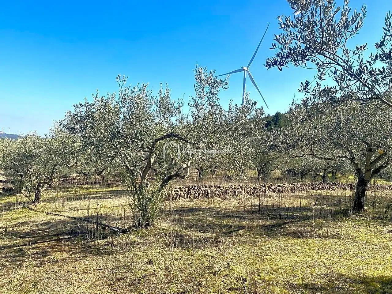 Terrain rustique à vendre à Calobres, imagen 8