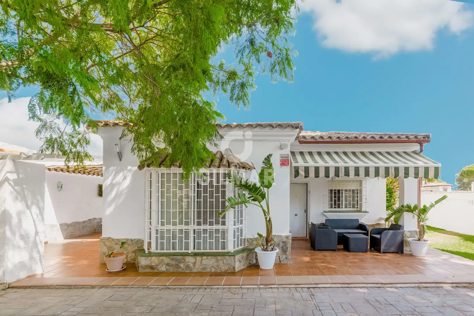 Exterior view of Houses for sale in Chiclana de la Frontera  with Private garden and Swimming Pool