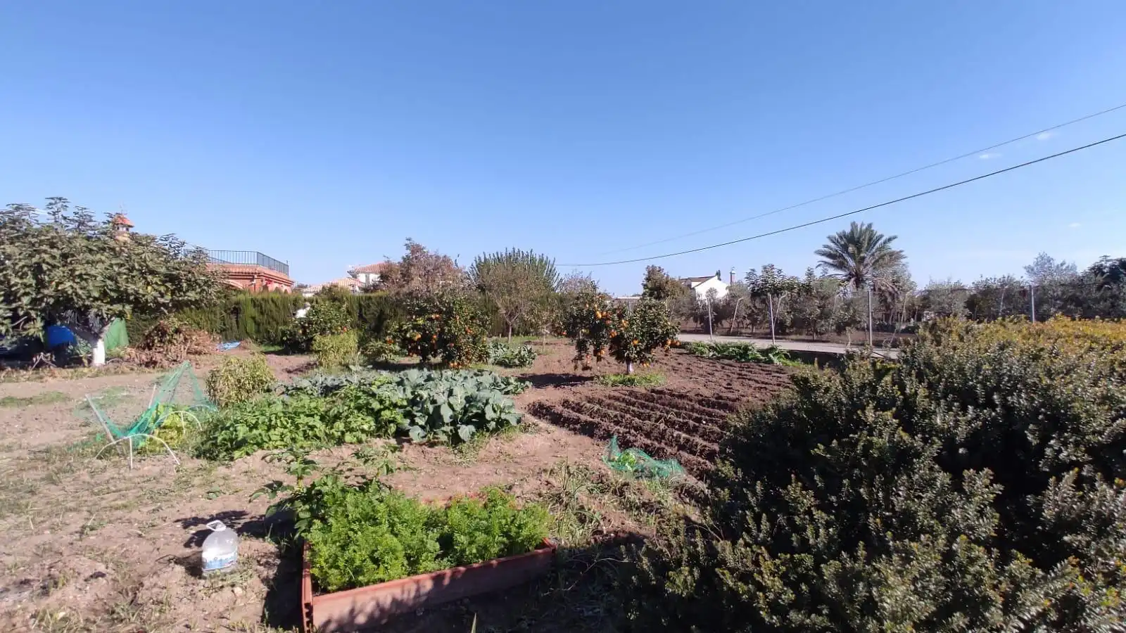 Jardí de Finca rústica en venda en El Carpio amb Traster, Piscina i Moblat