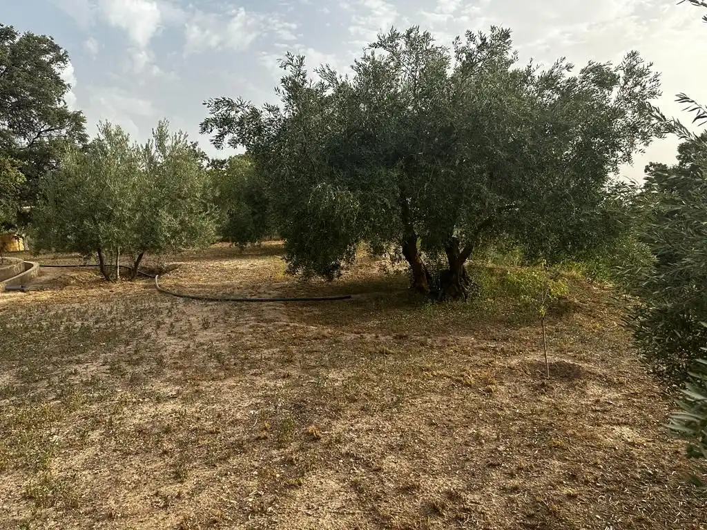 Terrain rustique à vendre à Peligros, imagen 5