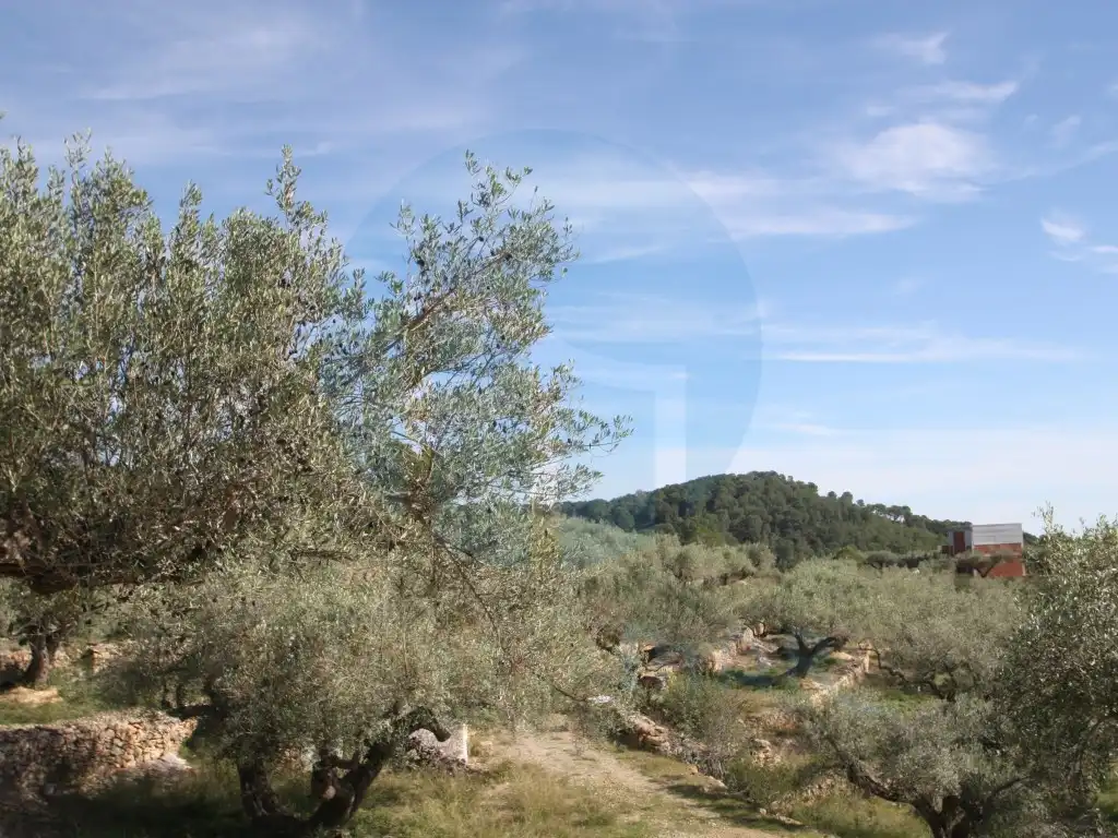 Country homes for sale in El Perelló, Tarragona