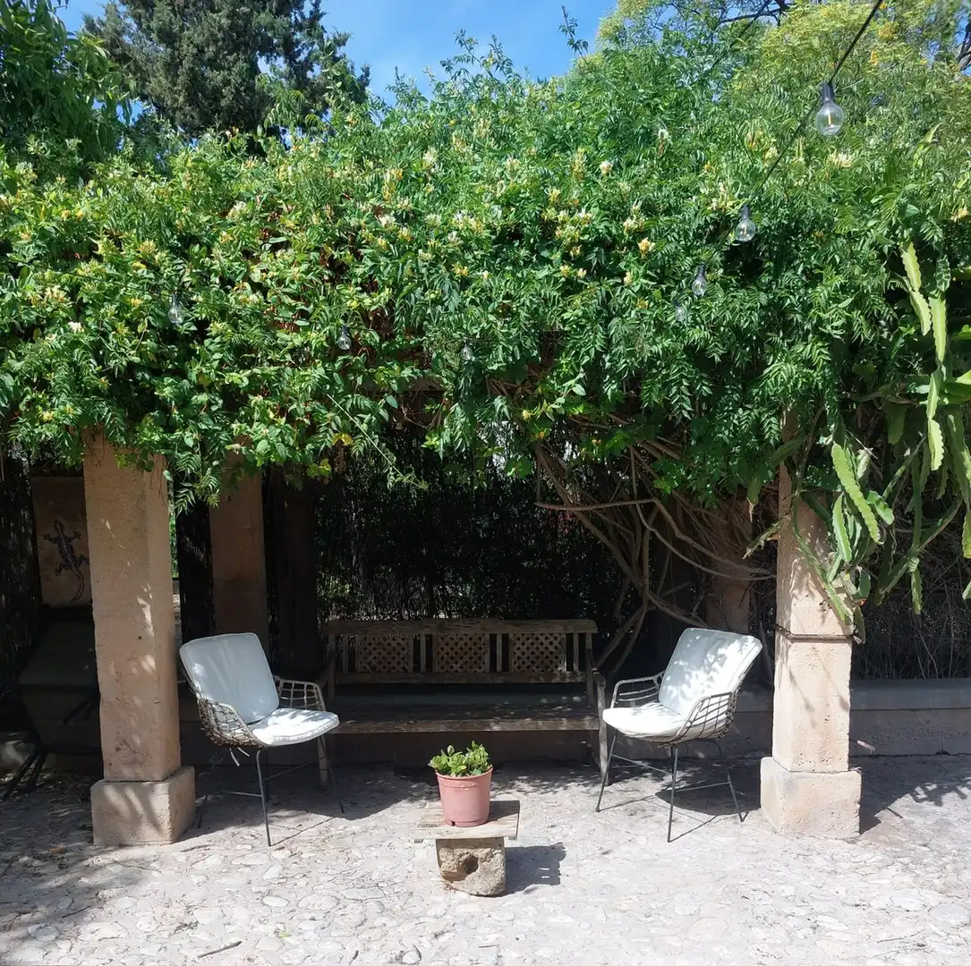 Landhaus mit Terrasse zum Verkauf in Carrer d'Antoni Furió, imagen 19