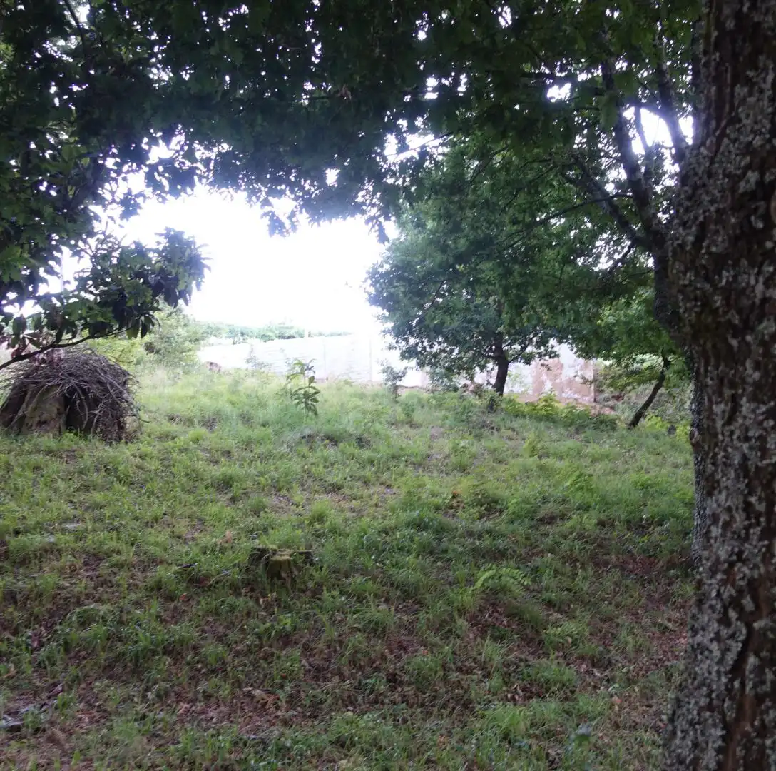 Terrenys i solars en venda a Mos, imagen 12