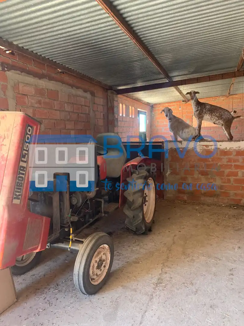 Chalet en venta en La Haba, imagen 17