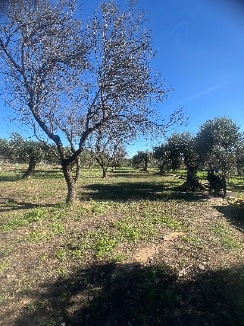 Finca rústica en venta en Botarell con Jardín privado, Trastero y Amueblado