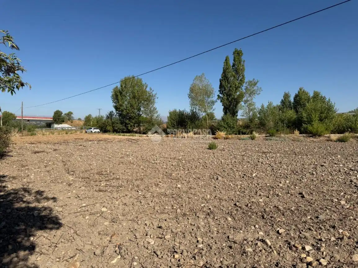 Terreny rústic en venda a Fuente El Saz de Jarama, imagen 22