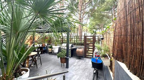 Foto 4 de Planta baixa en venda a Passeig de S'abanell, Els Pins, Blanes