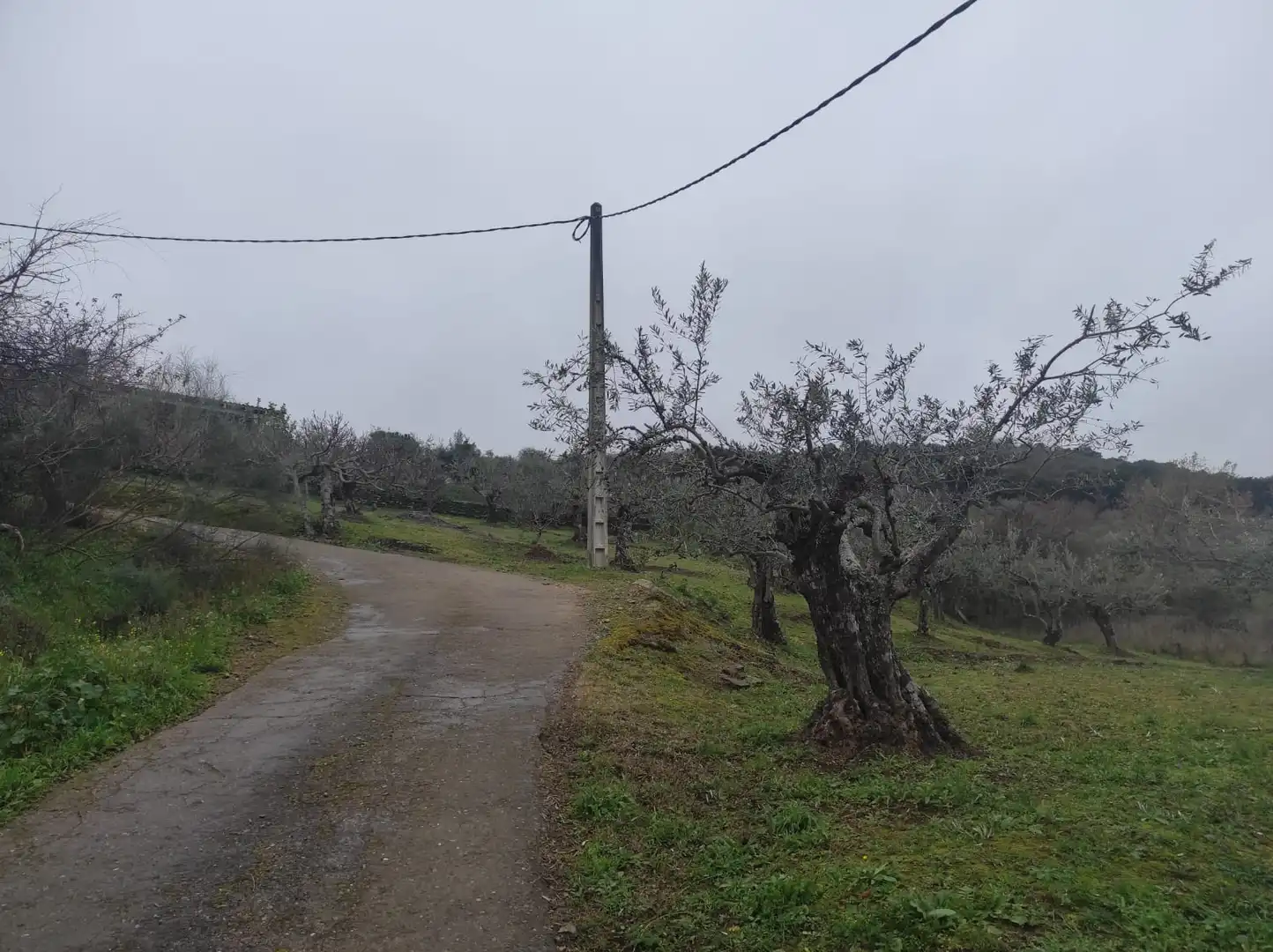 Terreno en venta en Plasencia