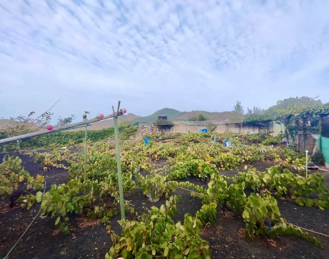 Vista exterior de Terreny en venda en Santiago del Teide