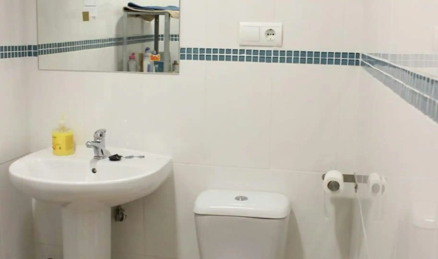 Bathroom of Flat for share in Sevilla  with Private garden and Washing machine