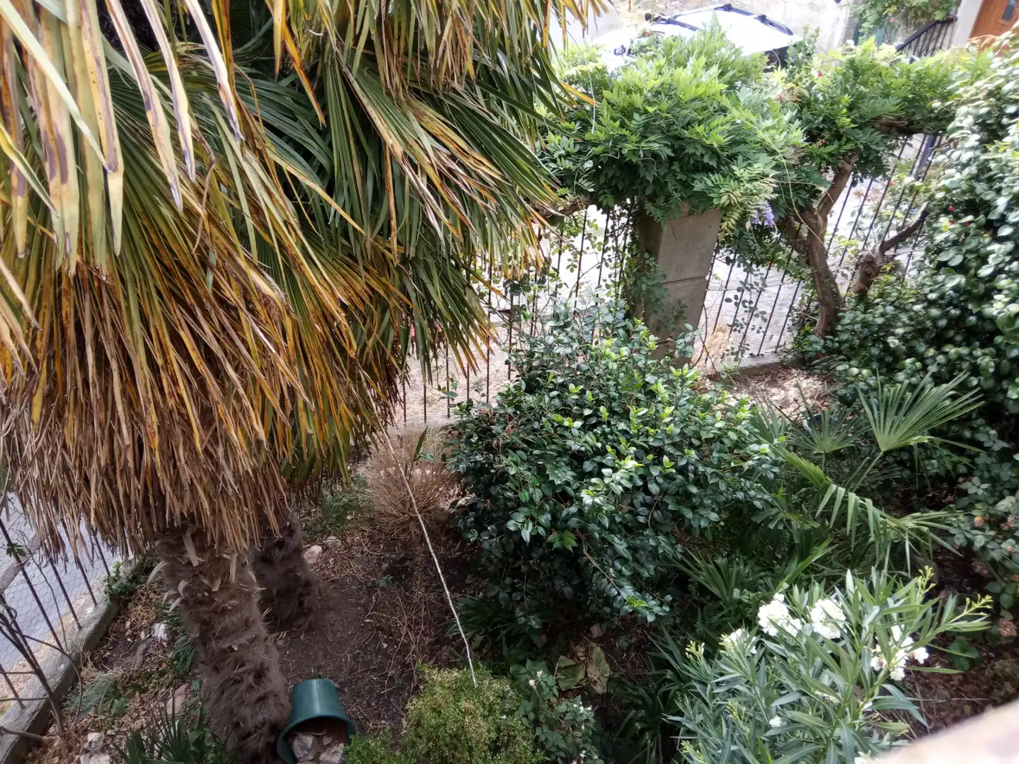 Casa en venta en Rairiz de Veiga, imagen 20