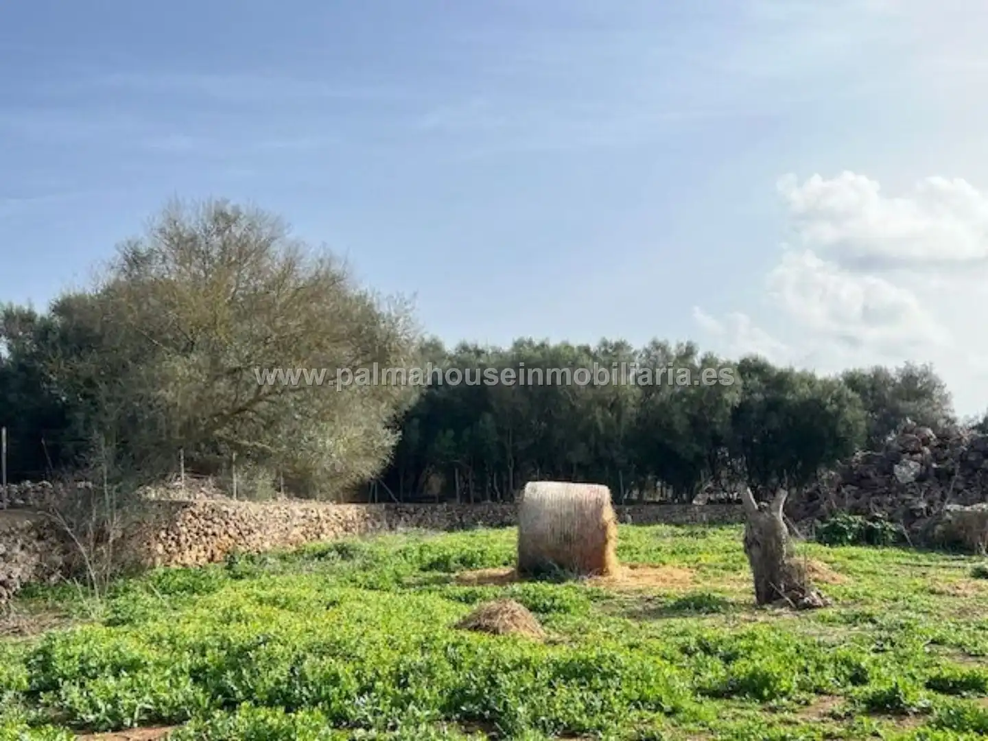 Terrenys i solars en venda a Maria de la Salut, imagen 20