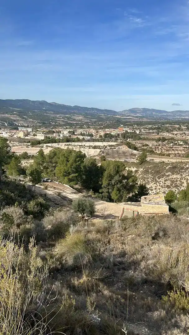 Vista exterior de Finca rústica en venda en Tibi
