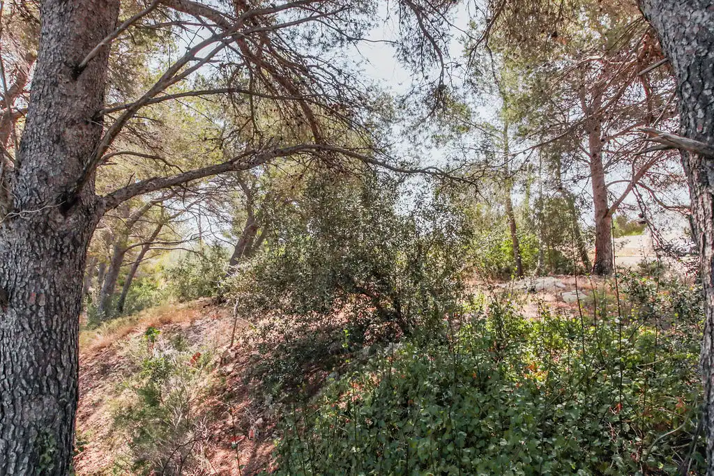 Terreno en venta en L'Ametlla de Mar 