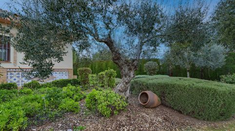Foto 3 de Finca rústica en venta en Carretera Villamanrique,la Vereda 27, Pilas, Sevilla