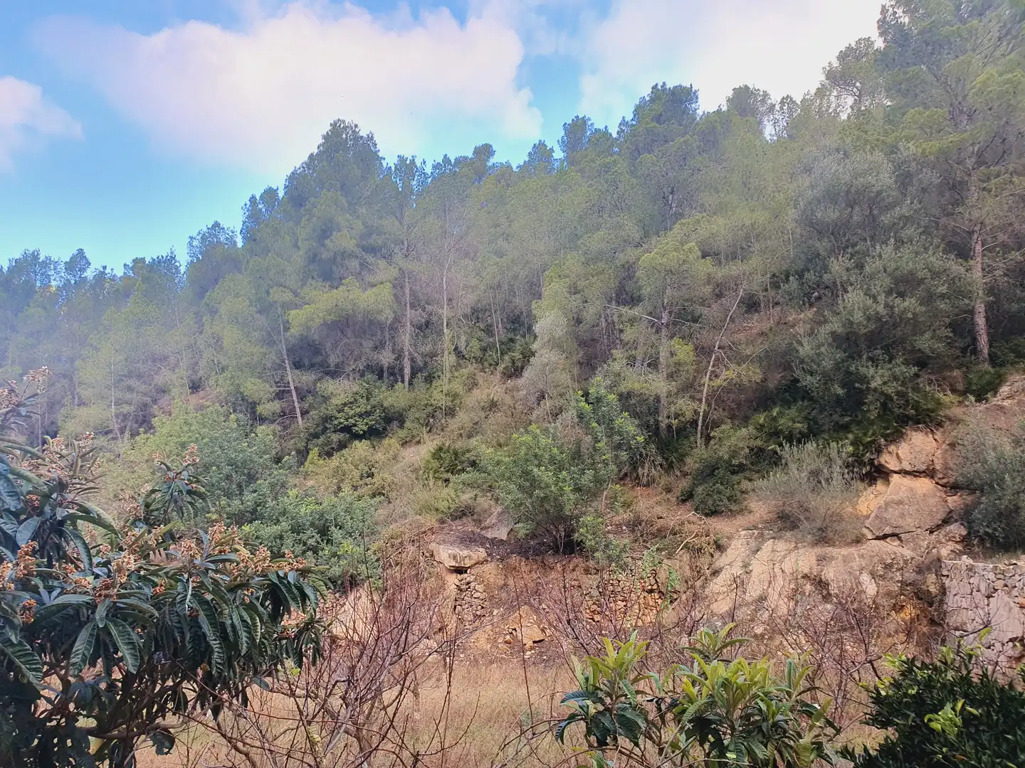 Terreno rústico en venta en Benifallet, imagen 21