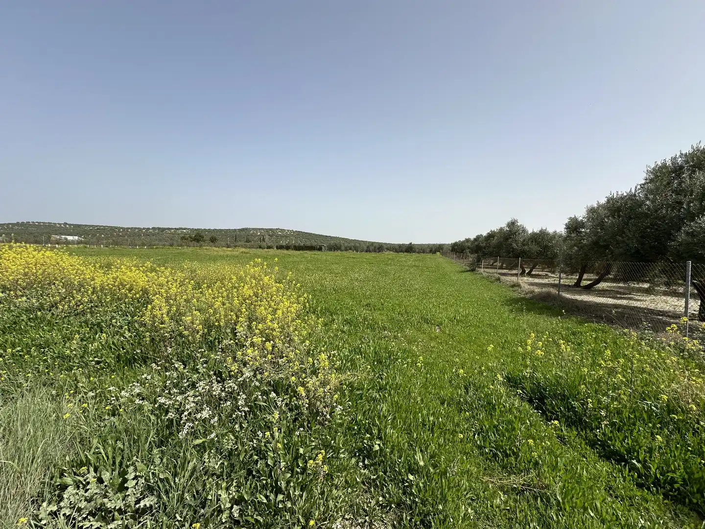 Terrenos y solares en venta en Úbeda, imagen 3