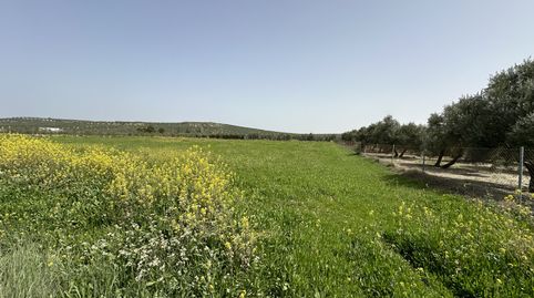 SE VENDE PARCELA RÚSTICA ZONA EL TESORERO, immagine 3