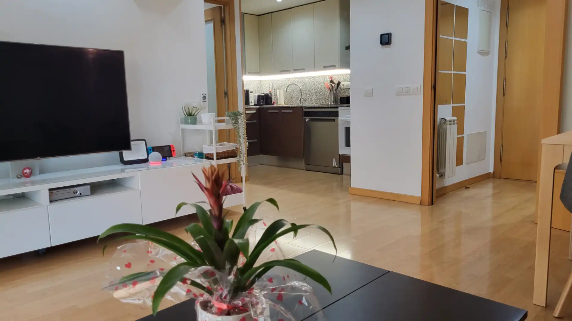 Sala de estar de Piso en venta en Cerdanyola del Vallès con Aire acondicionado, Calefacción y Parquet