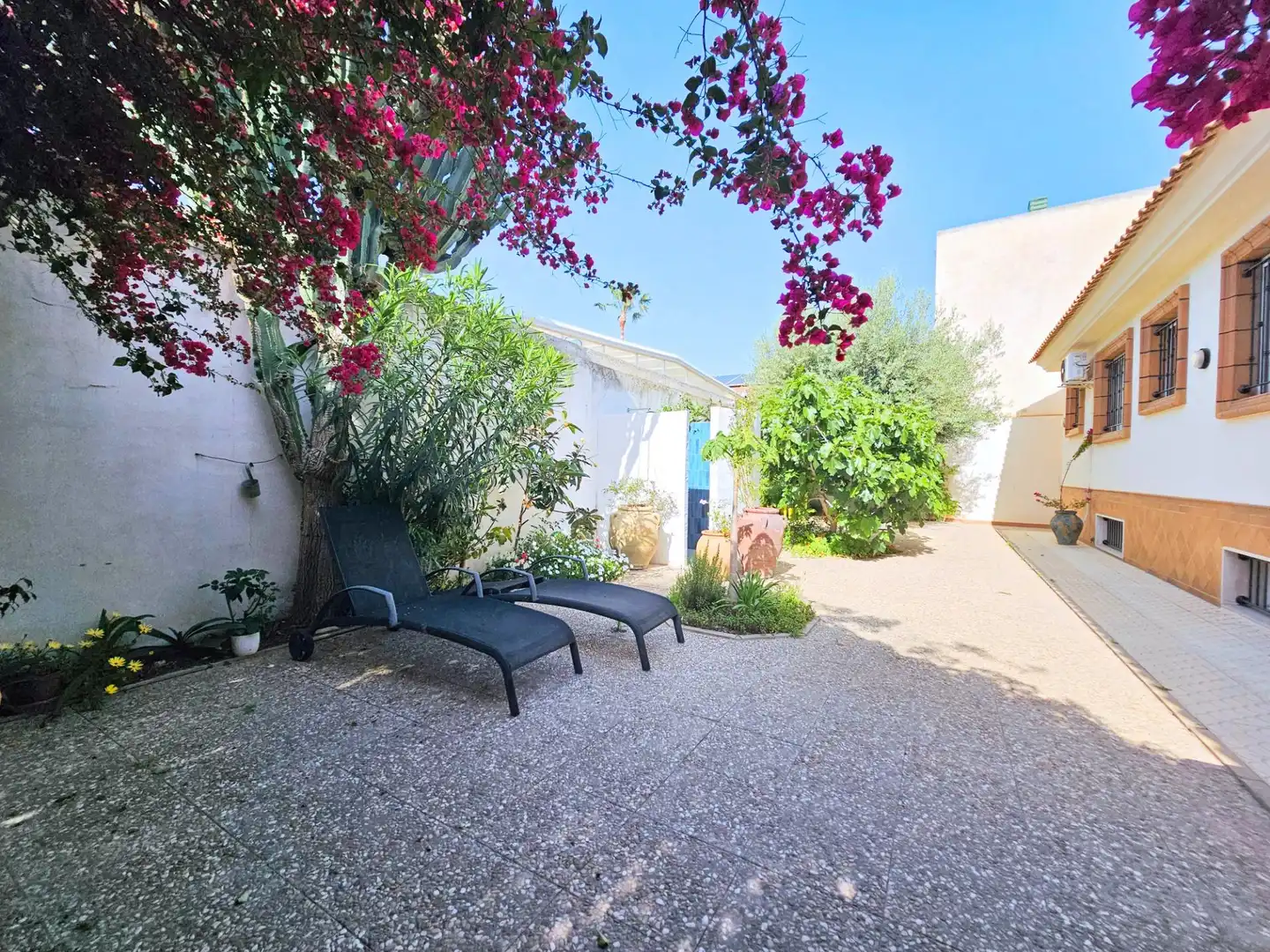Casa o chalet en venta en Calle LA PINTA, San Pedro del Pinatar ciudad