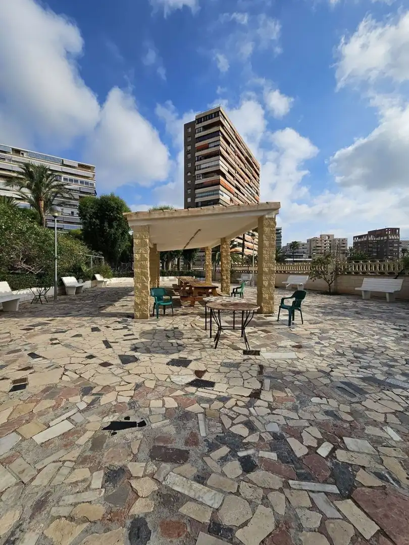 Flat with terrace for sale in Avenida Avenida Holanda 20, imagen 30