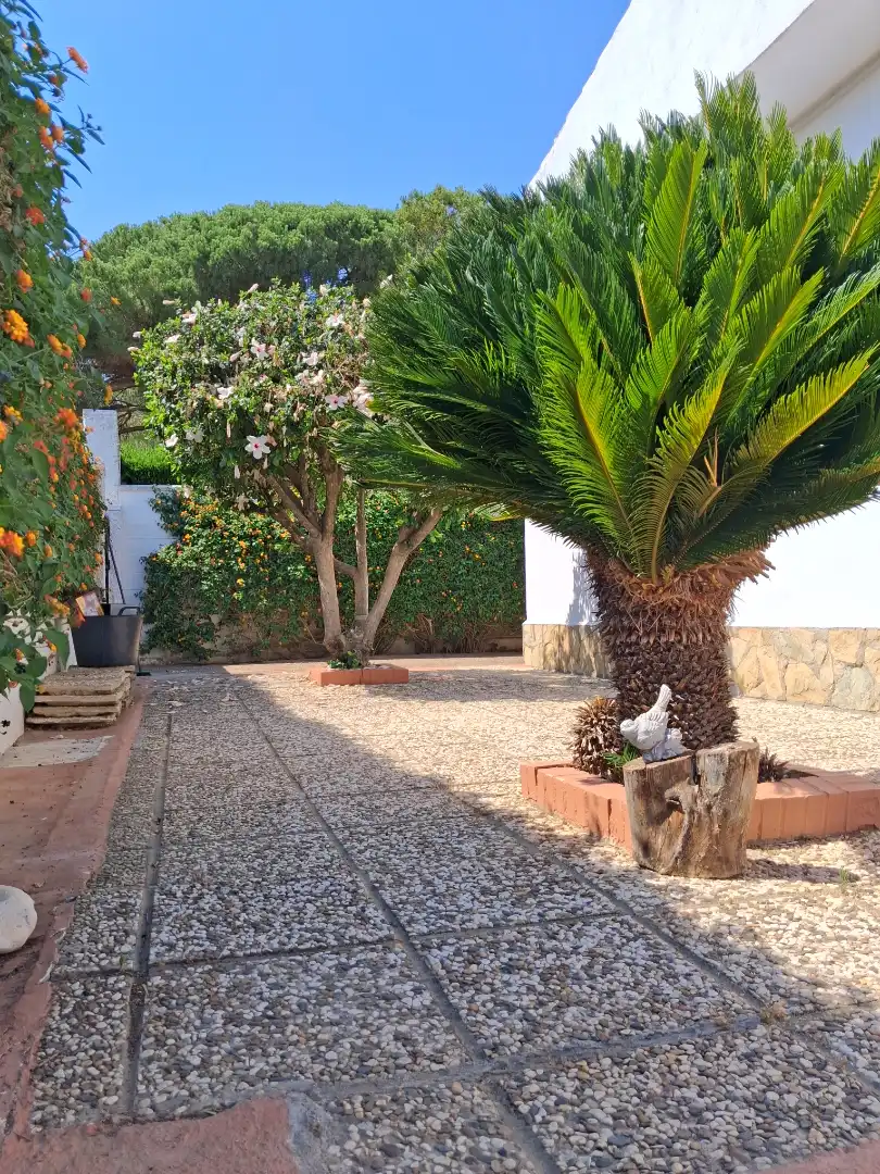 Villa mit Pool zum Verkauf in Calle Fray Jesus Colombo 6, imagen 2