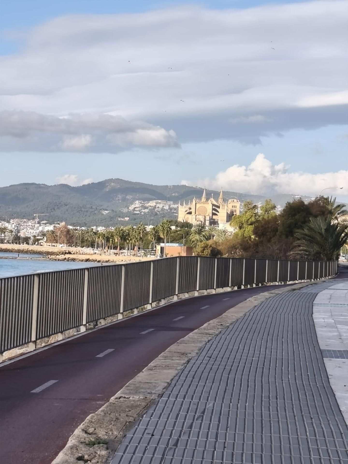 Vista exterior de Piso de alquiler en  Palma de Mallorca con Terraza