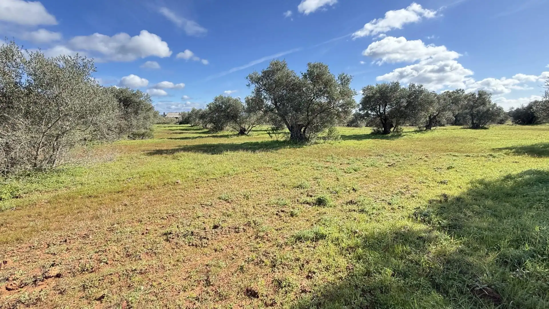 Country homes for sale in Gibraleón