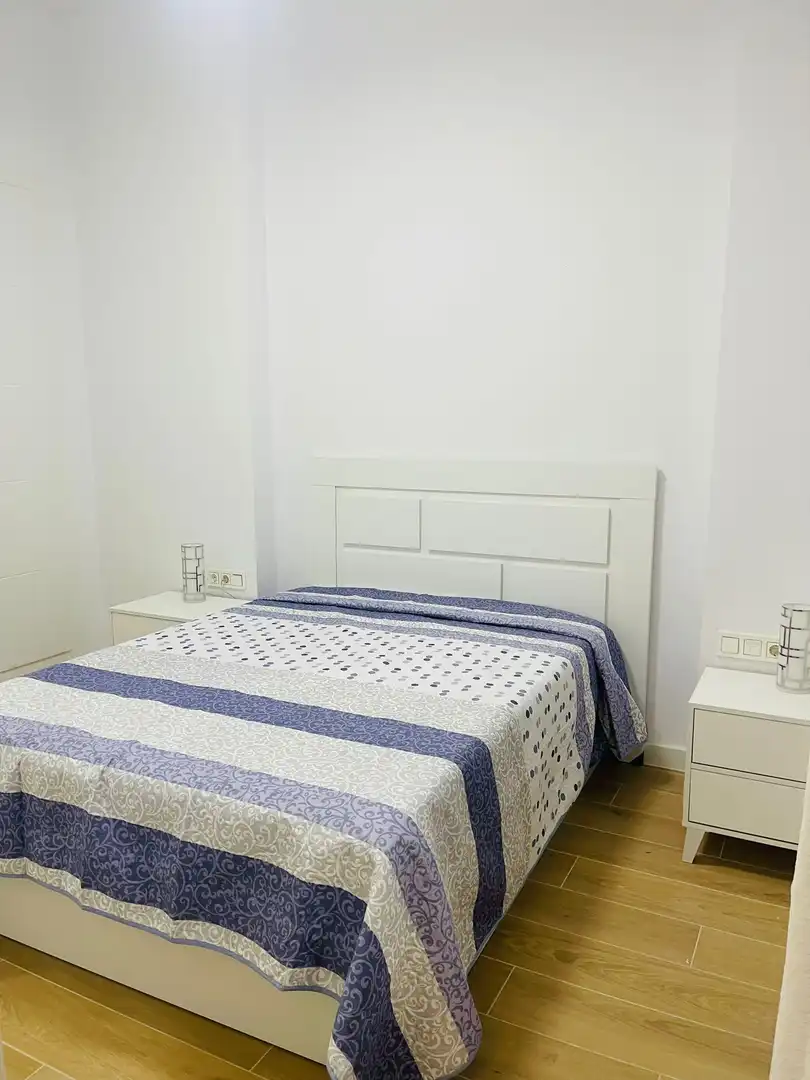 Wohnungen zur Miete in Calle Recinto Sur, Centro