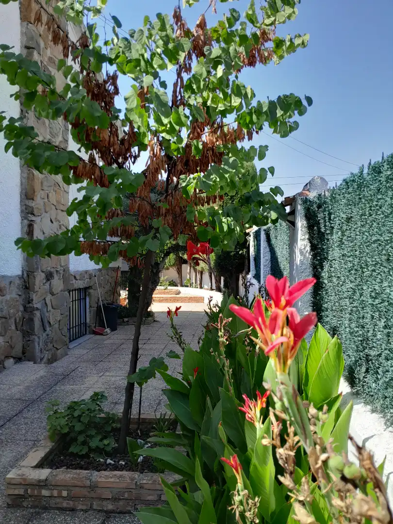 Jardín de Casa o chalet en venta en Cobisa con Calefacción, Jardín privado y Amueblado