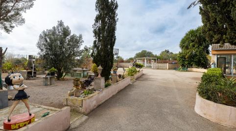 Foto 4 de Casa o xalet en venda a Llucmajor - Camí Polígono 20 Parcela 650, Llucmajor pueblo, Llucmajor