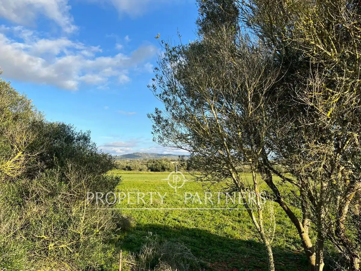 Chalet con jardín en venta en Felanitx, imagen 12