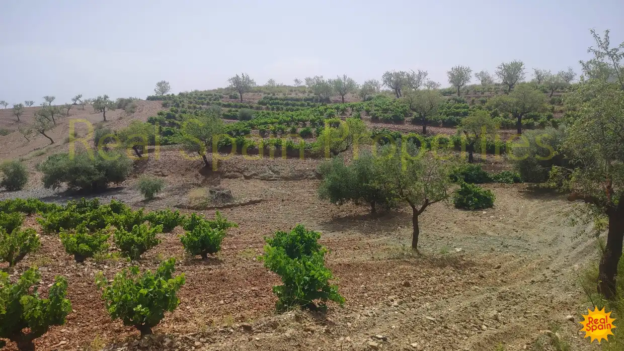 Residential land for sale in Vélez-Rubio, imagen 3