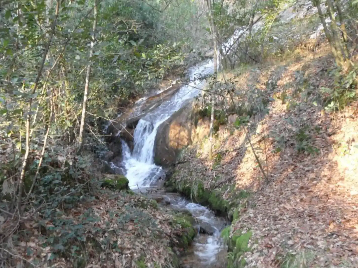 Vista exterior de Casa o xalet en venda en Mos