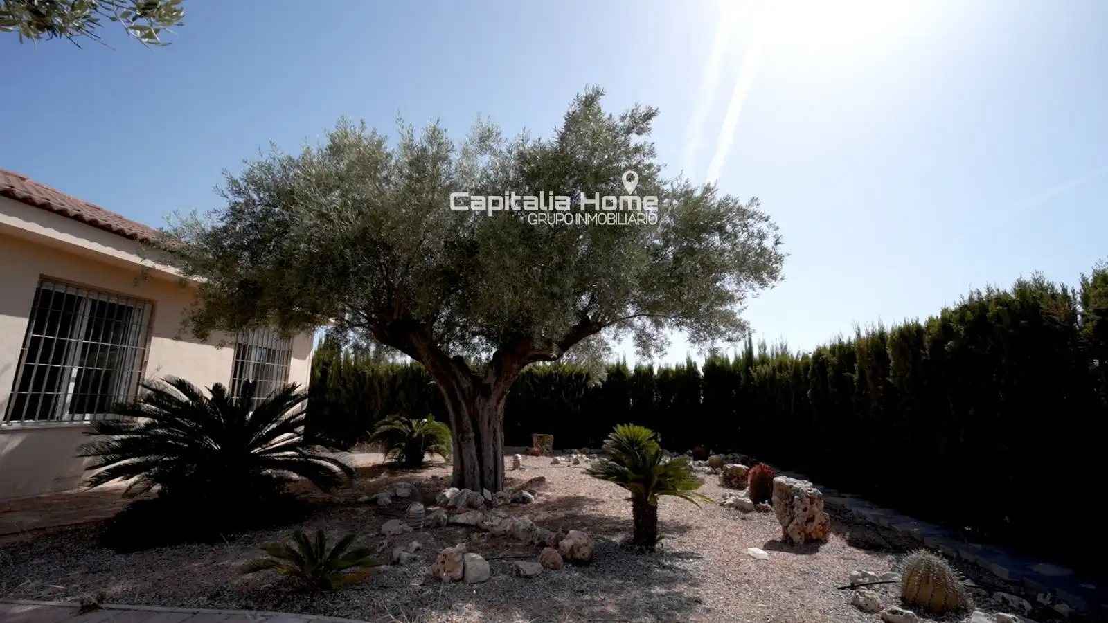 Jardín de Casa o chalet en venta en Orihuela
