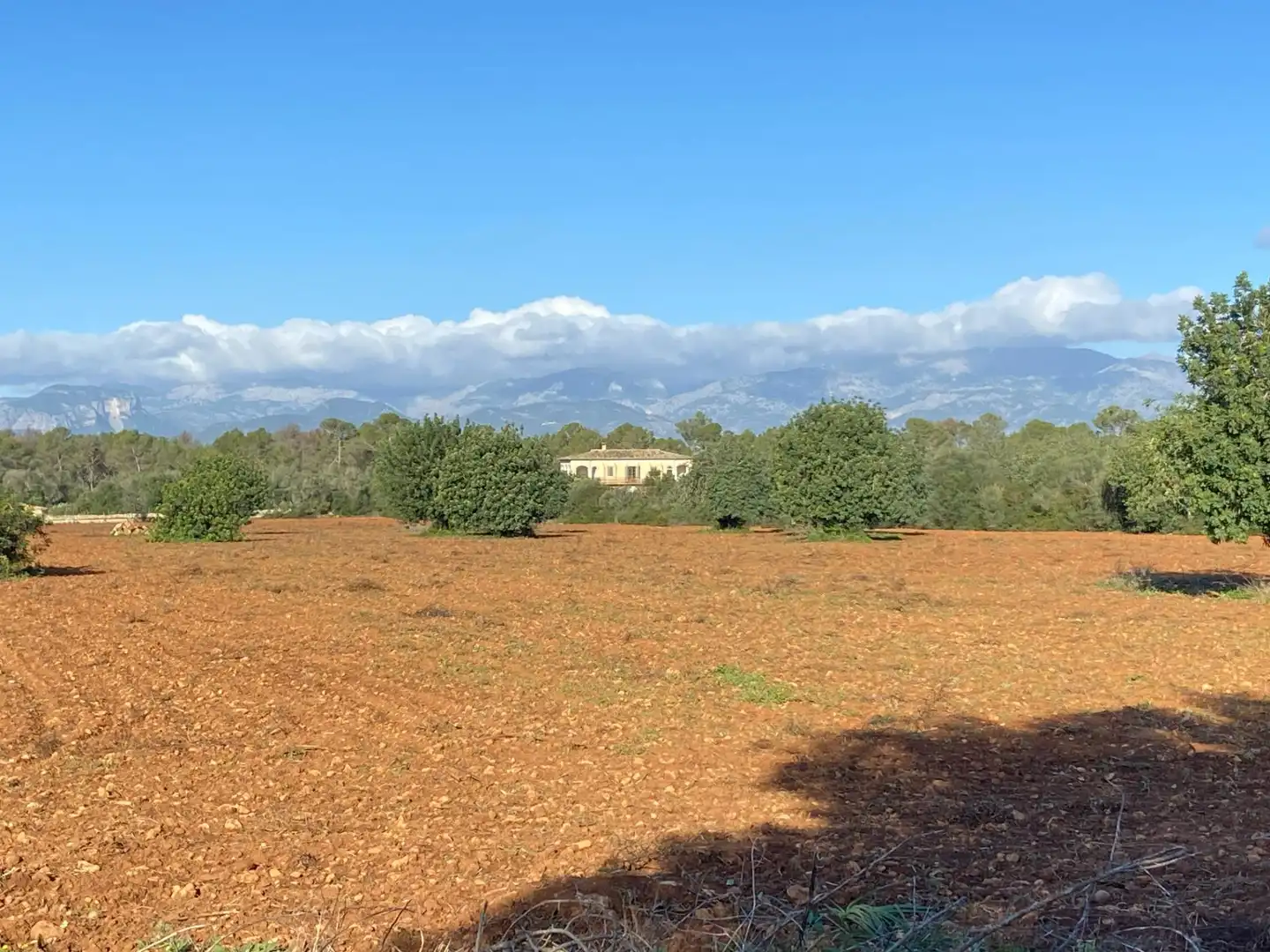 Maison rustique à vendre à Sineu, imagen 23