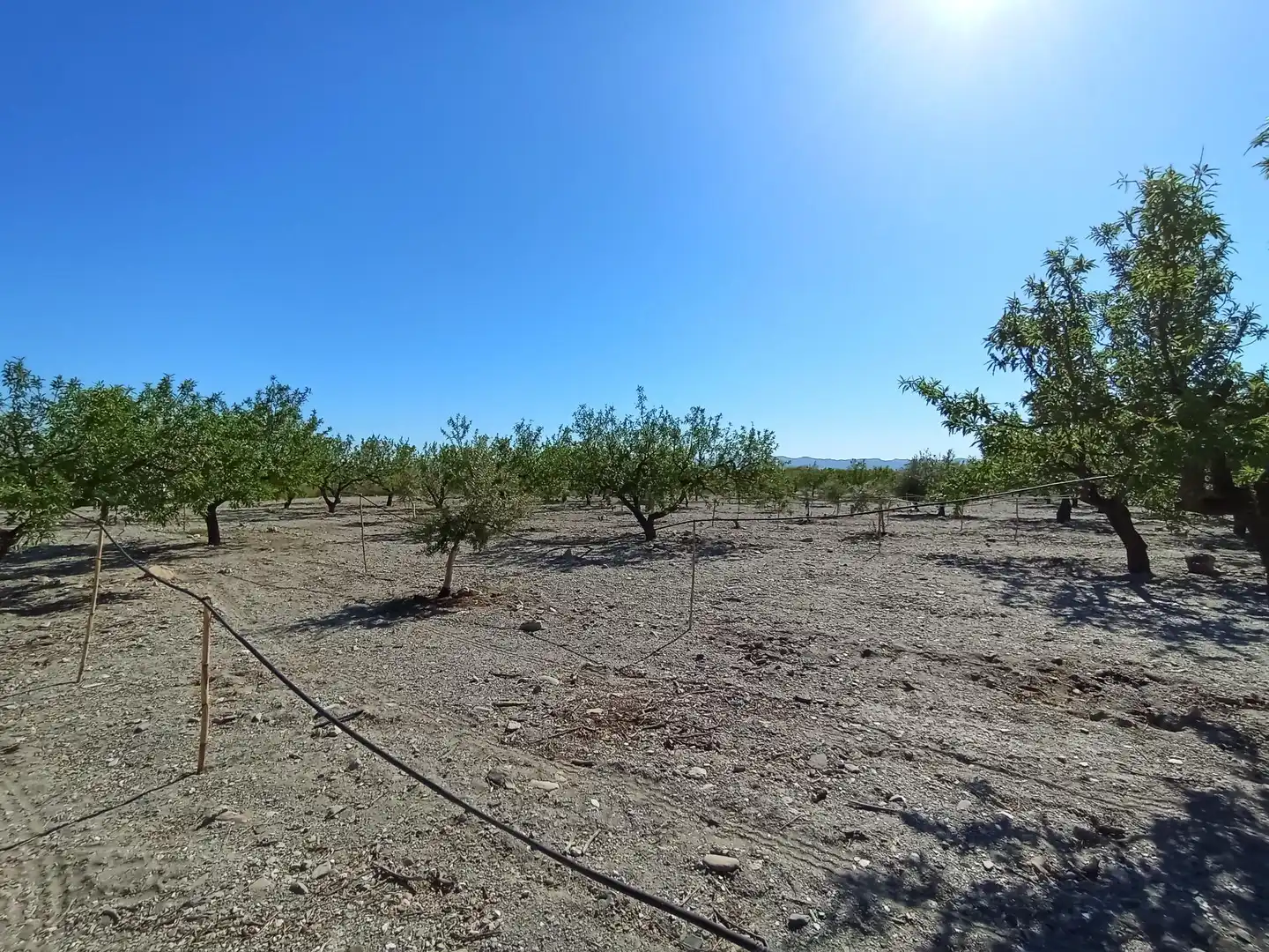 Terreni e lotti in vendita a Pedanías Sur, imagen 11