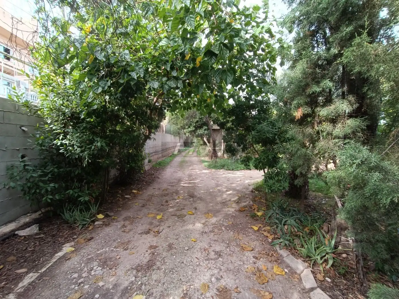 Terreno residenziale in vendita a Campolivar, imagen 4