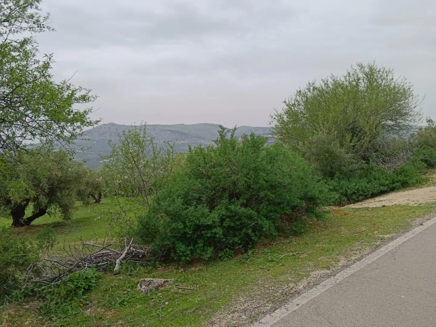 Terreno en venta en Zuheros