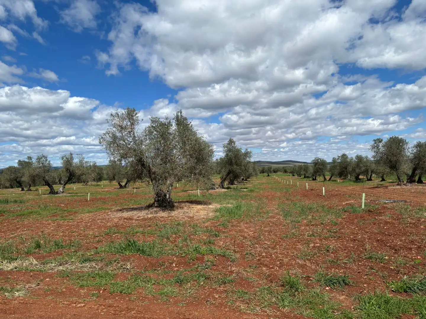 Residential for sale in Ciudad Real