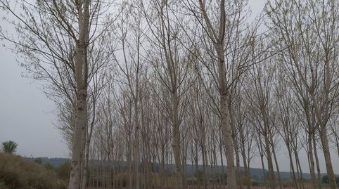 Finca Rúst. en venta en Puigverd De Lleida.