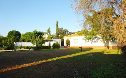 Jardí de Casa o xalet en venda en Sanlúcar la Mayor amb Aire condicionat, Calefacció i Jardí privat