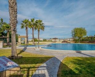 Piscina de Àtic de lloguer en Orihuela amb Aire condicionat, Calefacció i Terrassa